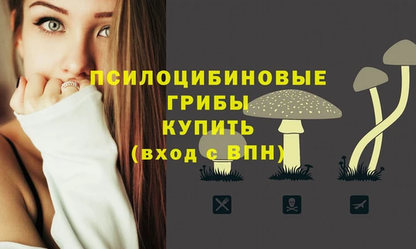мяу мяу кристалл Лабытнанги