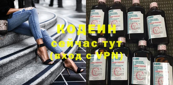 ГАЛЛЮЦИНОГЕННЫЕ ГРИБЫ Лагань