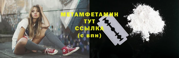 ГАЛЛЮЦИНОГЕННЫЕ ГРИБЫ Лагань