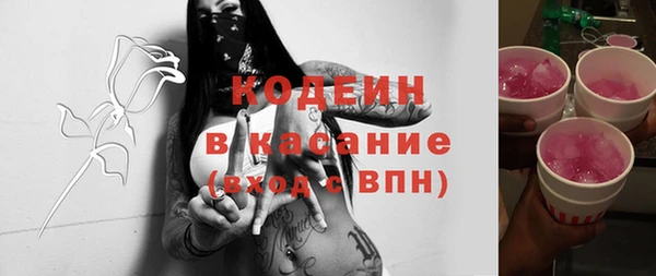ГАЛЛЮЦИНОГЕННЫЕ ГРИБЫ Лагань