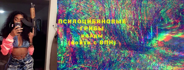 ГАЛЛЮЦИНОГЕННЫЕ ГРИБЫ Лагань